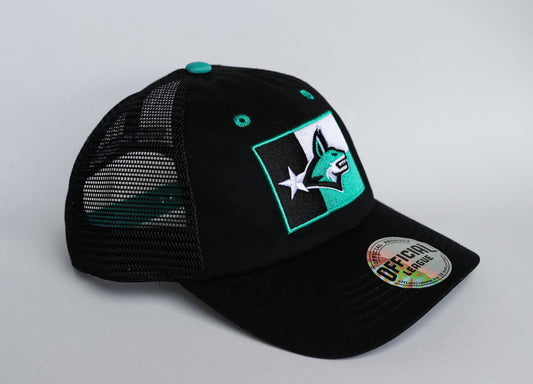 Texas Flag Trucker Hat (Black)