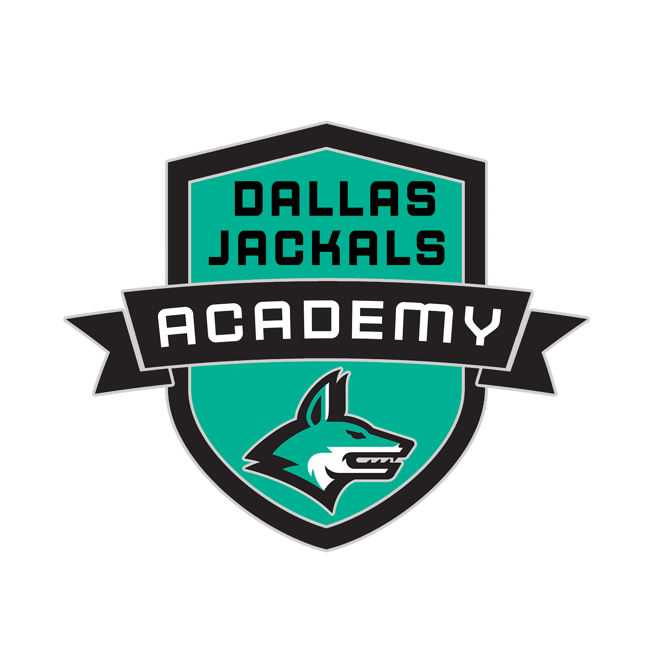 Dallas Jackals Rugby Team Launches Academy